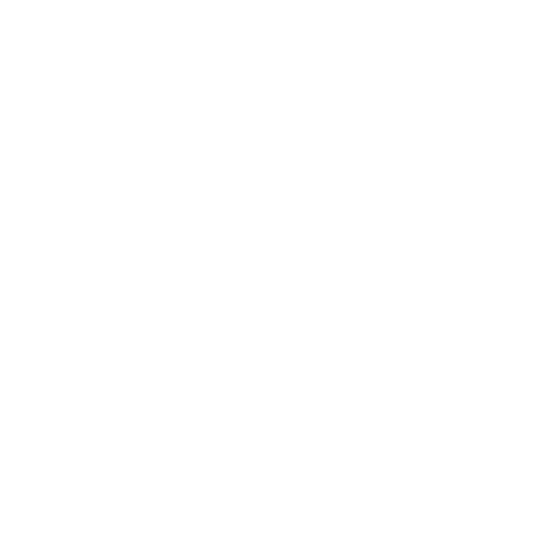 25 Plus Icon